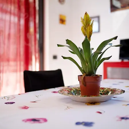 Mare * Bussana Nuova